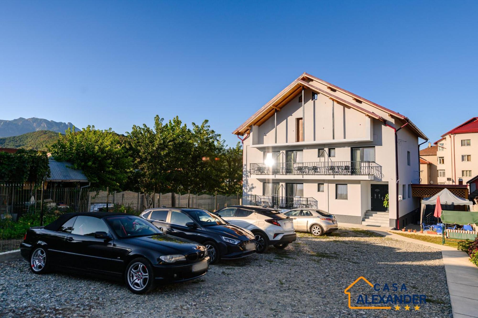 Casa Alexander Hotel Calimanesti Ngoại thất bức ảnh