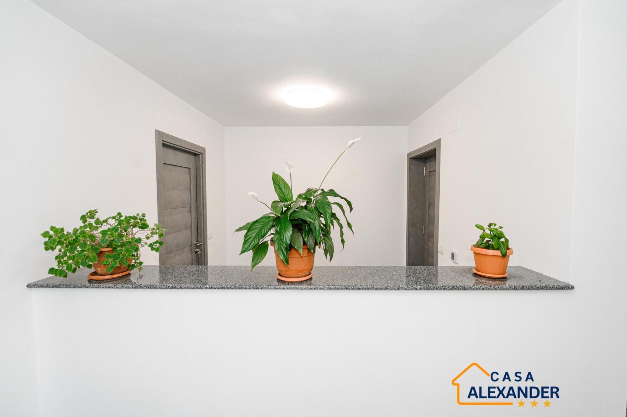 Casa Alexander Hotel Calimanesti Ngoại thất bức ảnh