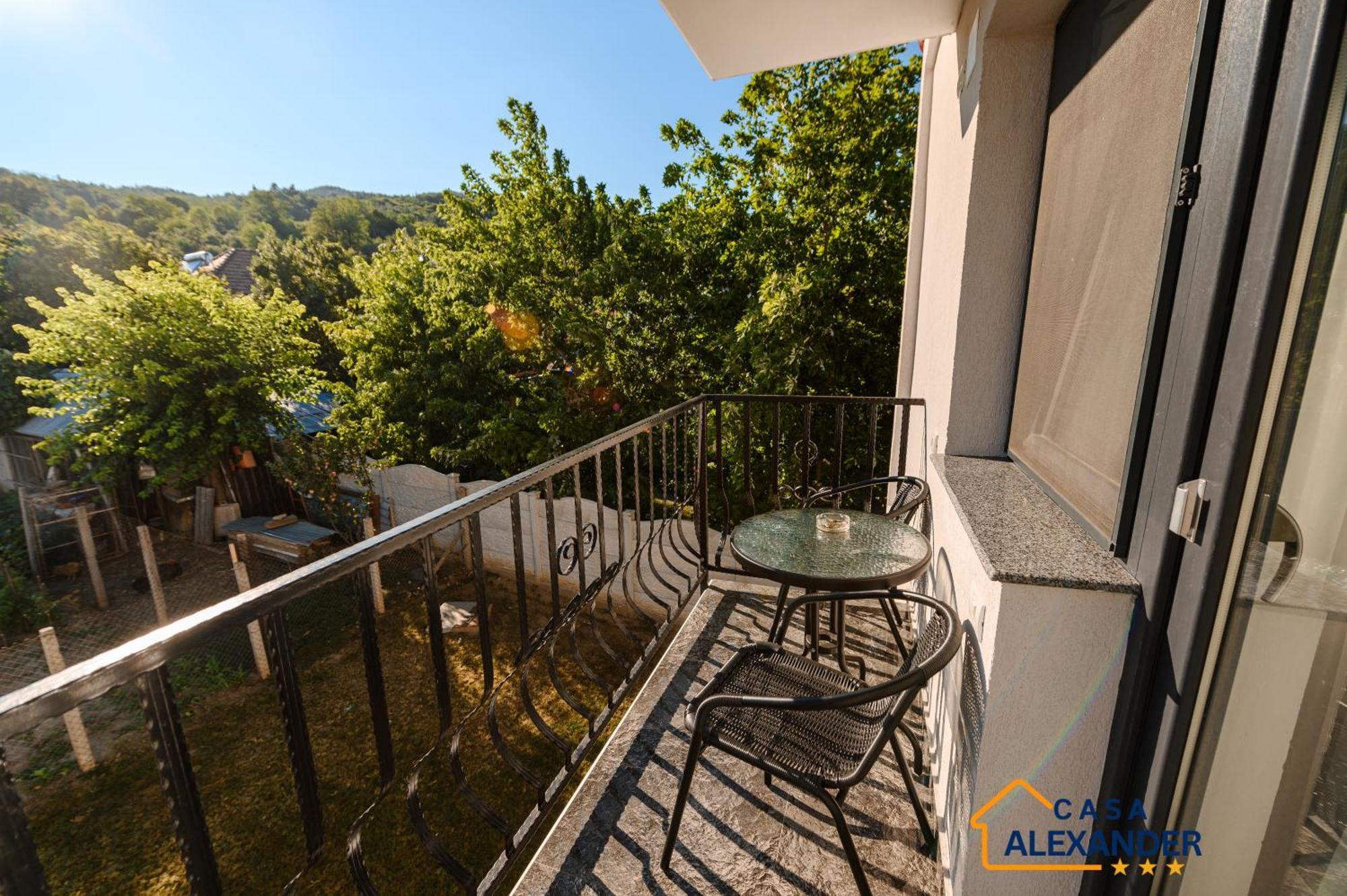 Casa Alexander Hotel Calimanesti Ngoại thất bức ảnh