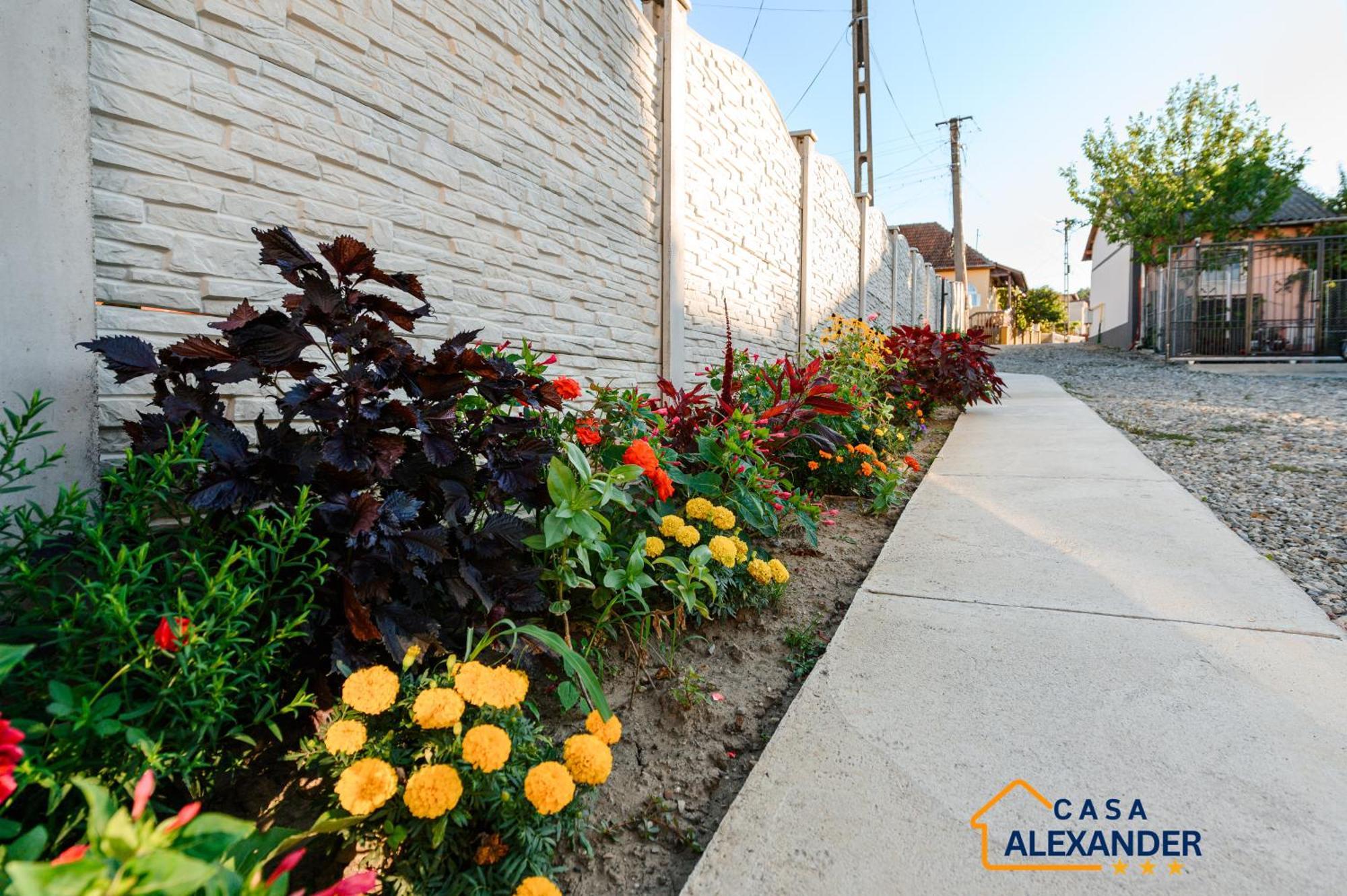 Casa Alexander Hotel Calimanesti Ngoại thất bức ảnh